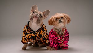 Best pet clothes manufacturers in China