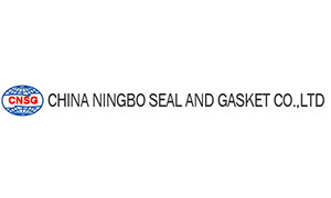 CNSG - gasket manufacturers in China